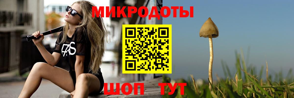 Галлюциногенные грибы Cubensis Боровичи